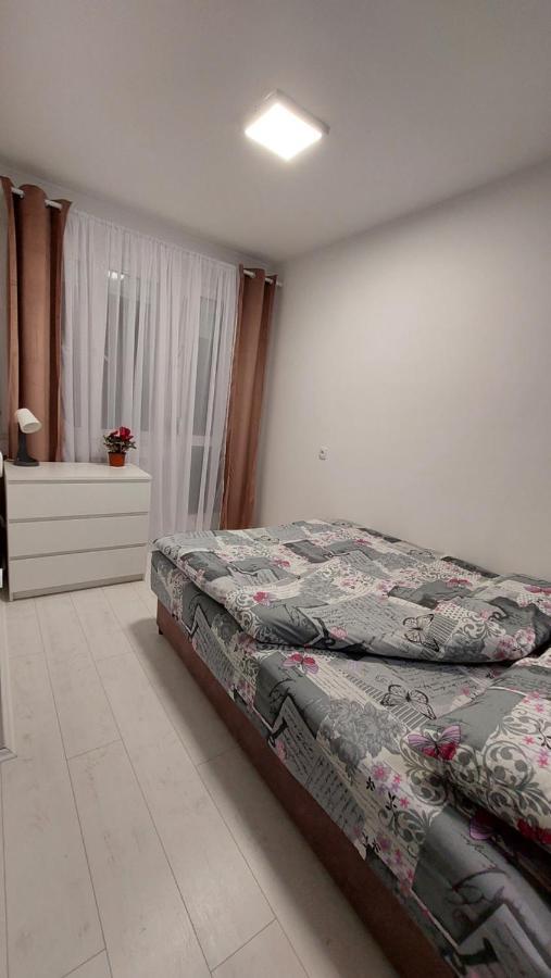 Apartman 23 贝尔格莱德 外观 照片
